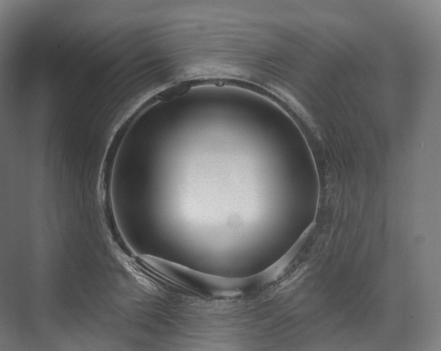 X0000073480885200608071018