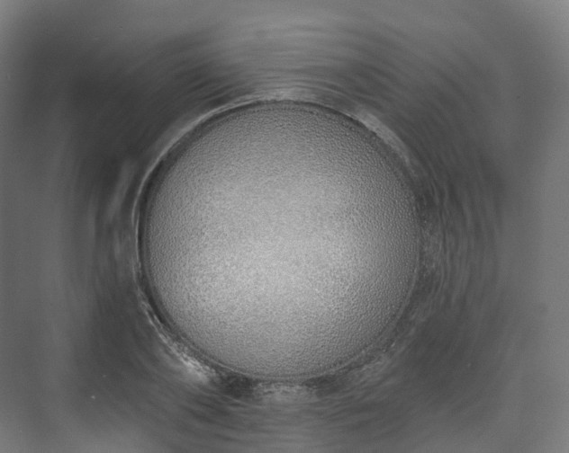 X0000073480886200608071018