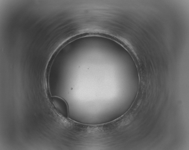 X0000073480887200608071018