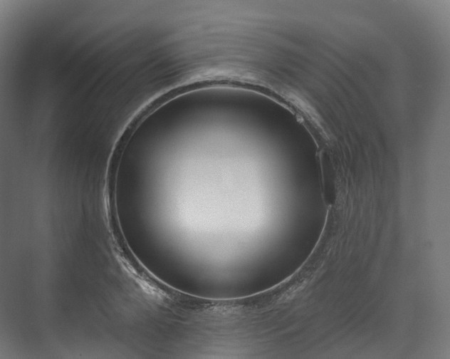 X0000073480888200608071018