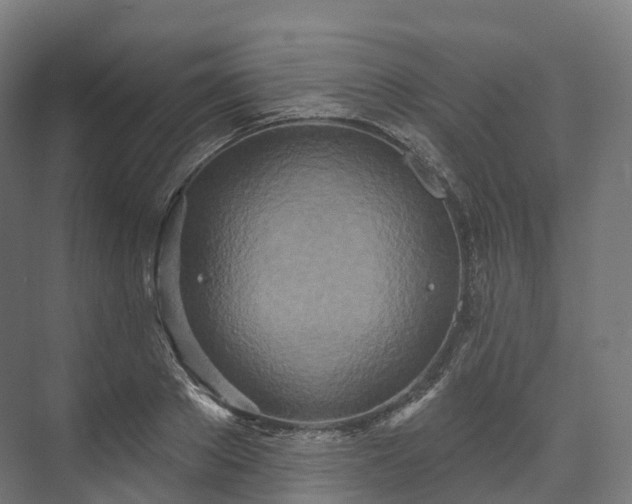 X0000073480889200608071018