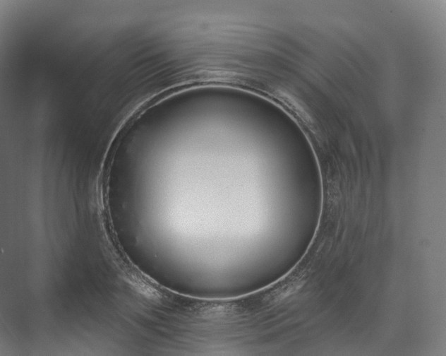 X0000073480891200608071018