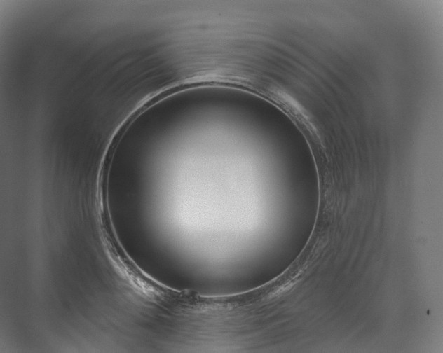 X0000073480892200608071018