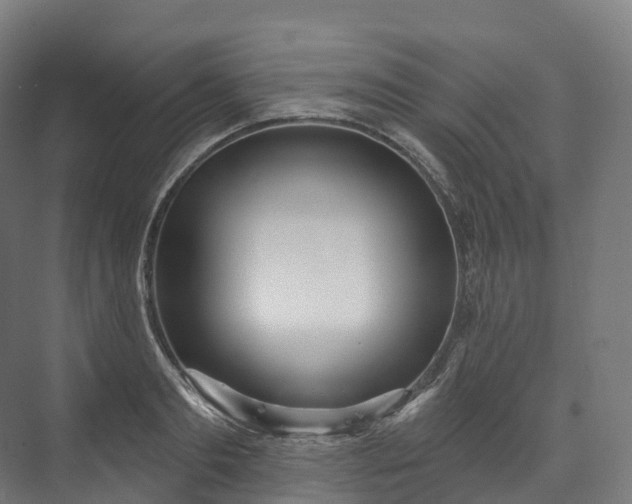 X0000073480893200608071018