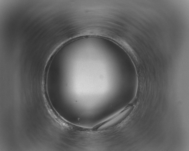 X0000073480896200608071018