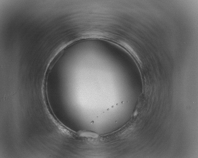 X0000073480901200608071018