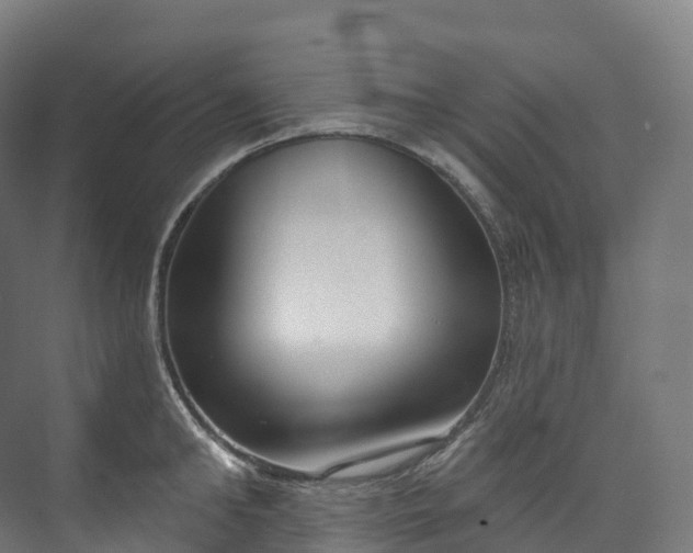 X0000073480902200608071018