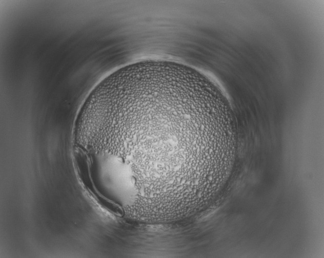 X0000073480903200608071018