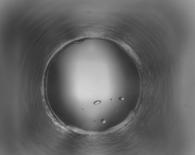 X0000073480904200608071018