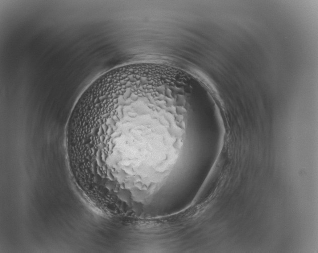 X0000073480907200608071017