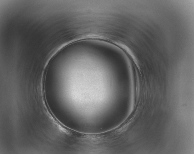 X0000073480910200608071017