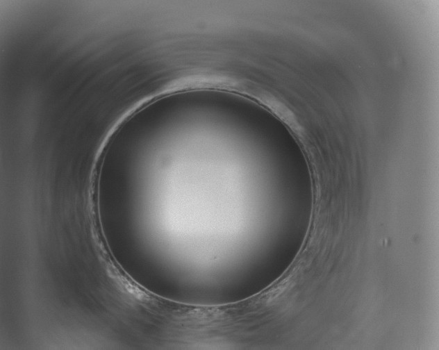 X0000073480912200608071017