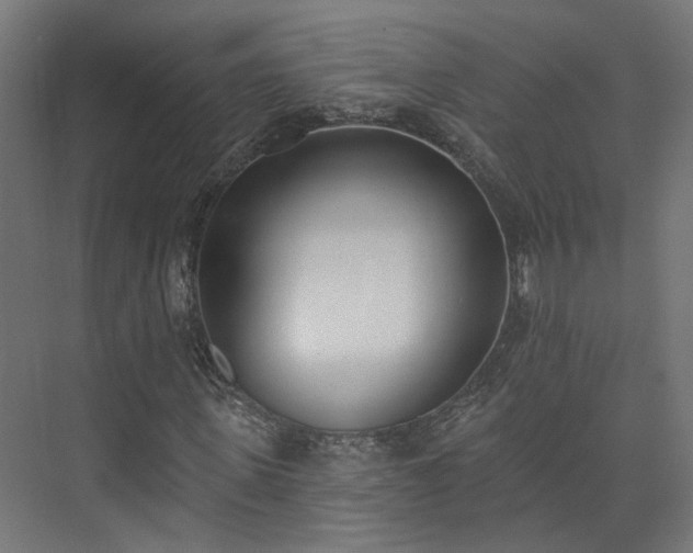 X0000073480915200608071017