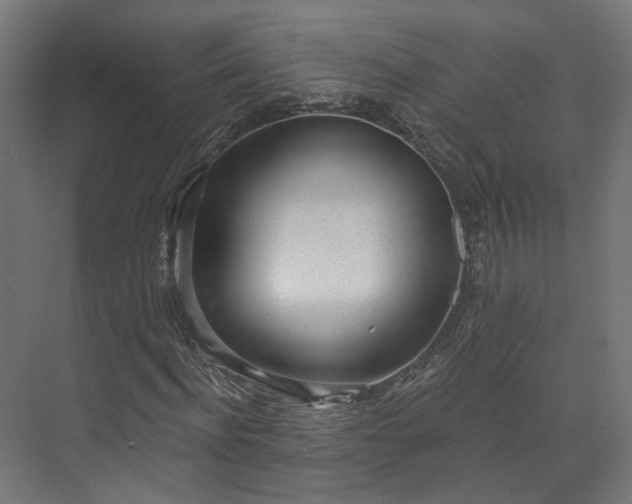 X0000073480916200608071017