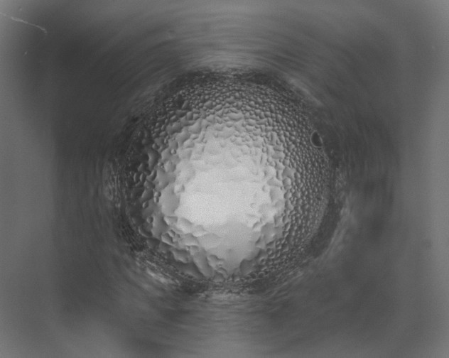 X0000073480917200608071017