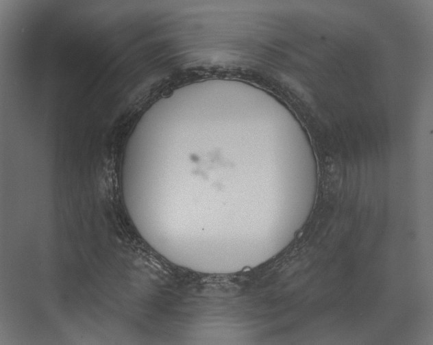 X0000073480918200608071017