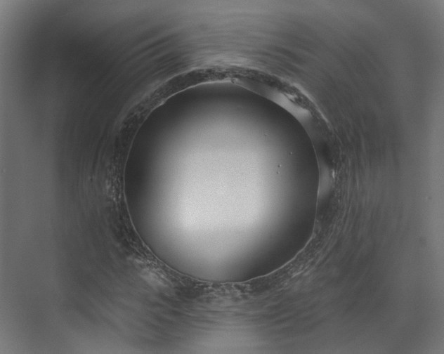 X0000073480919200608071017