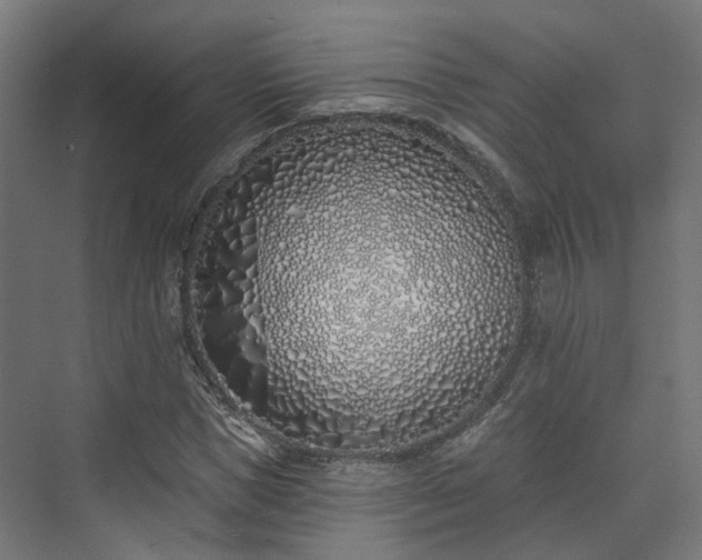 X0000073480921200608071017