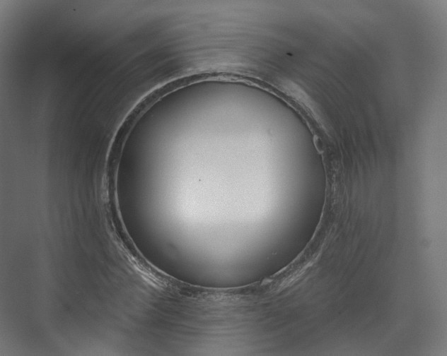 X0000073480924200608071017