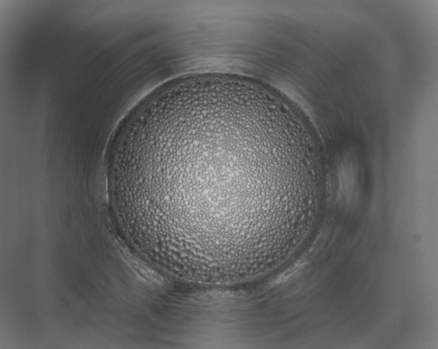 X0000073480925200608071017