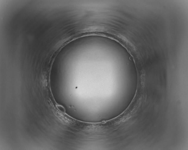 X0000073480929200608071017