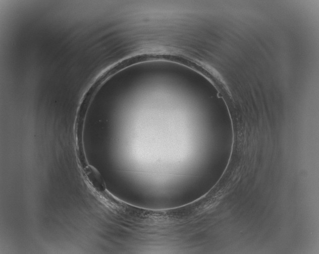 X0000073480935200608071017