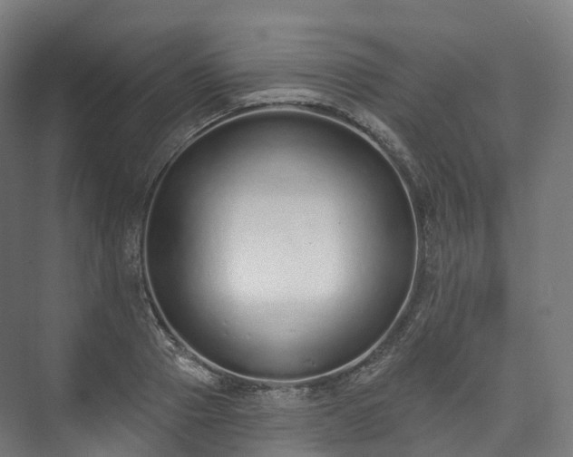 X0000073480937200608071017