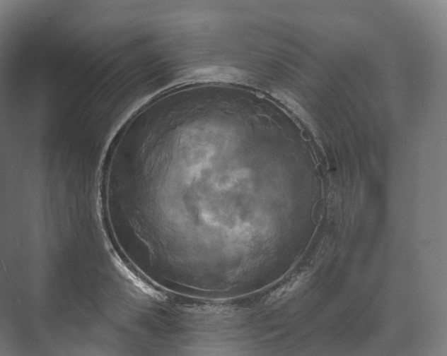 X0000073480941200608071017