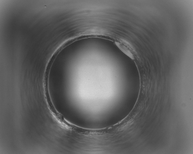 X0000073480942200608071017