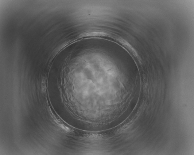 X0000073480945200608071017