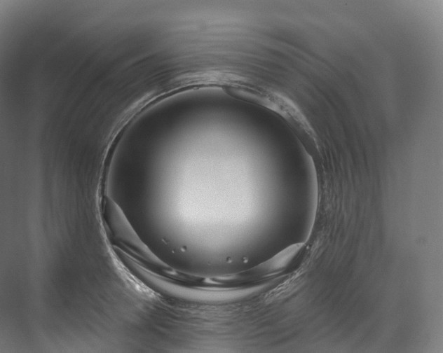 X0000073480946200608071017