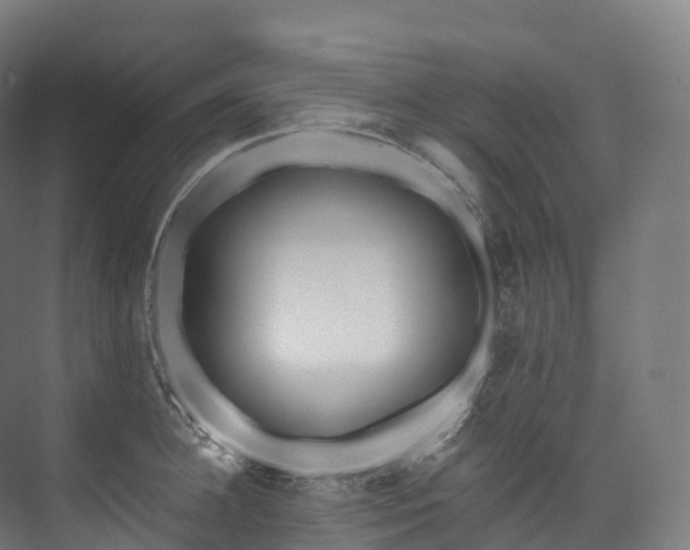 X0000073480948200608071017