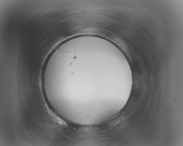 X0000073480950200608071017