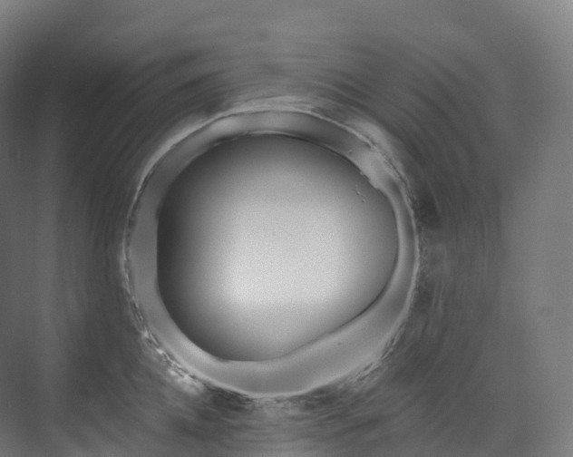 X0000073480952200608071017