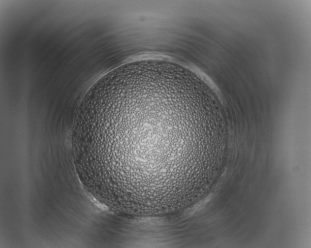 X0000073480953200608071017