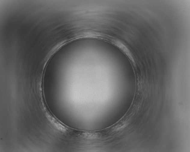 X0000073480954200608071017