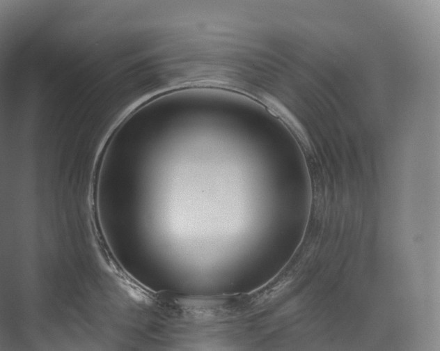 X0000073480956200608071017