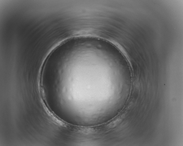 X0000073480957200608071017