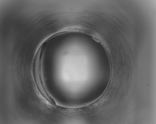 X0000073480960200608071017