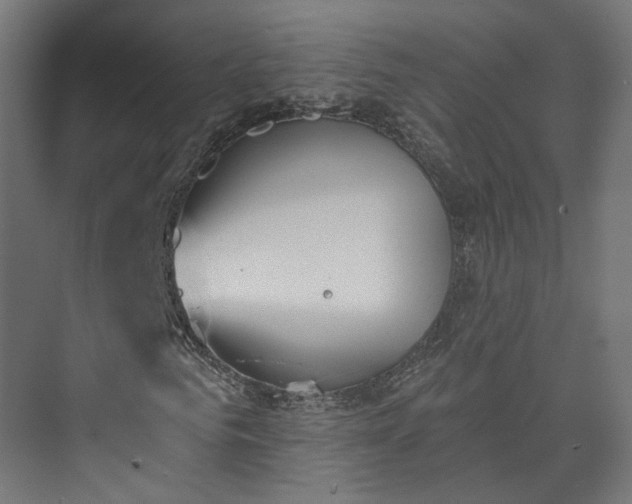 X0000073480961200608071017