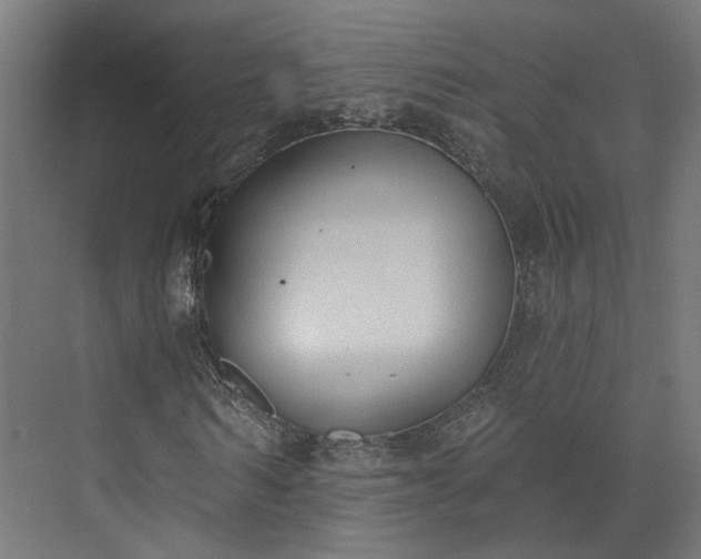 X0000073480962200608071017