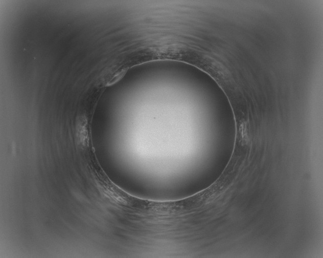 X0000073480963200608071016