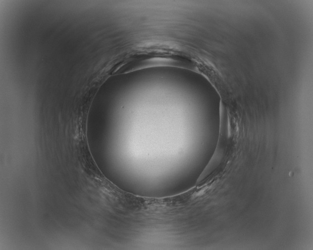 X0000073480965200608071016