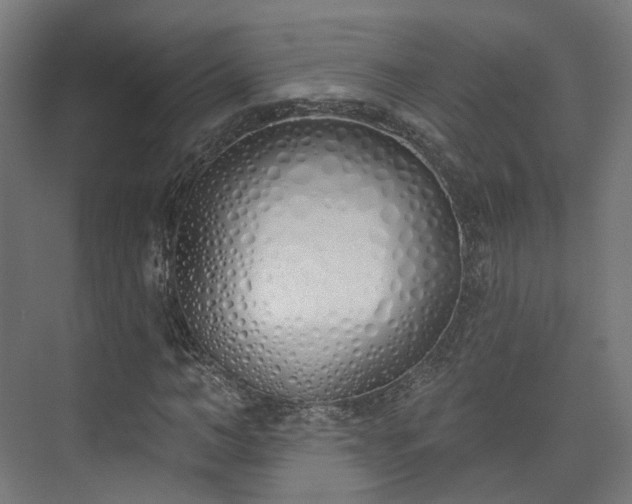 X0000073480966200608071016