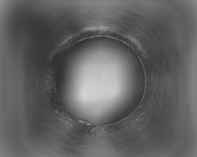 X0000073480967200608071016