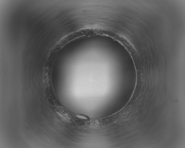 X0000073480968200608071016