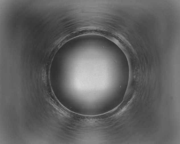 X0000073480969200608071016