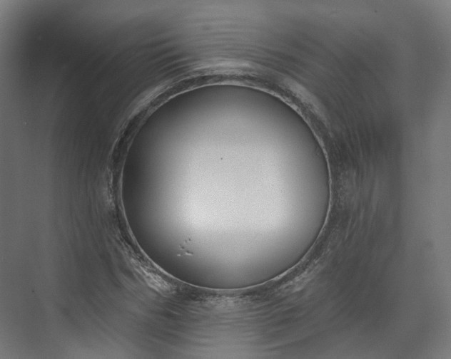 X0000073480970200608071016