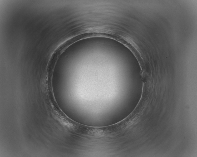 X0000073480971200608071016