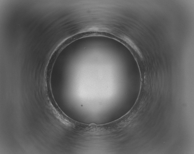 X0000073480972200608071016